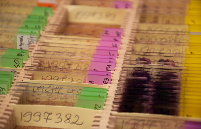 Wyposażenie zakładu