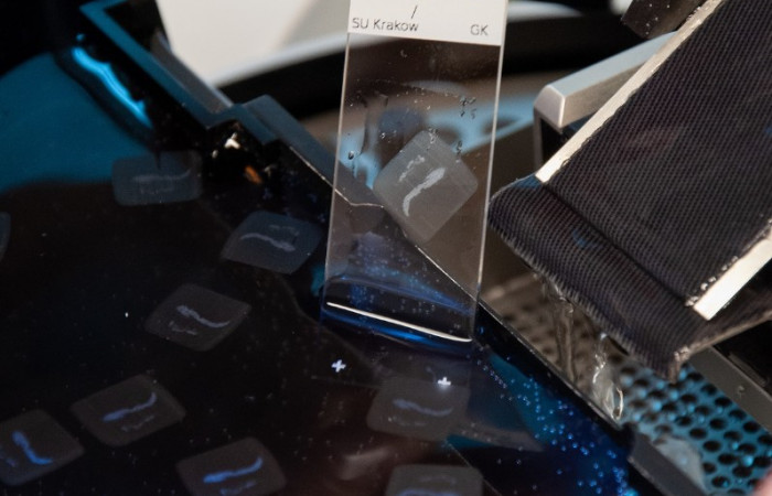 Wyposażenie zakładu