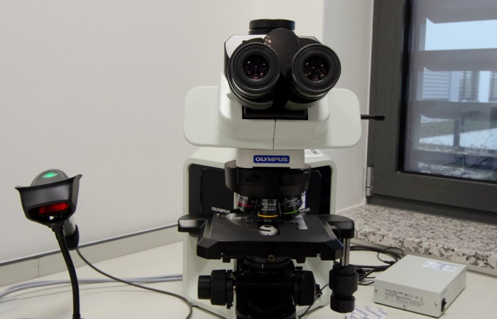 Wyposażenie zakładu