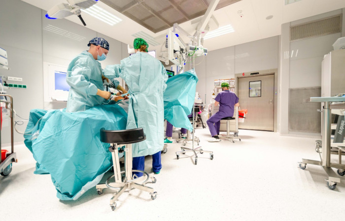 fot. Agnieszka Diaków / Archiwum SU