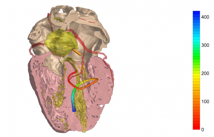 Pracownia Funkcjonalnego i Wirtualnego Medycznego Obrazowania 3D